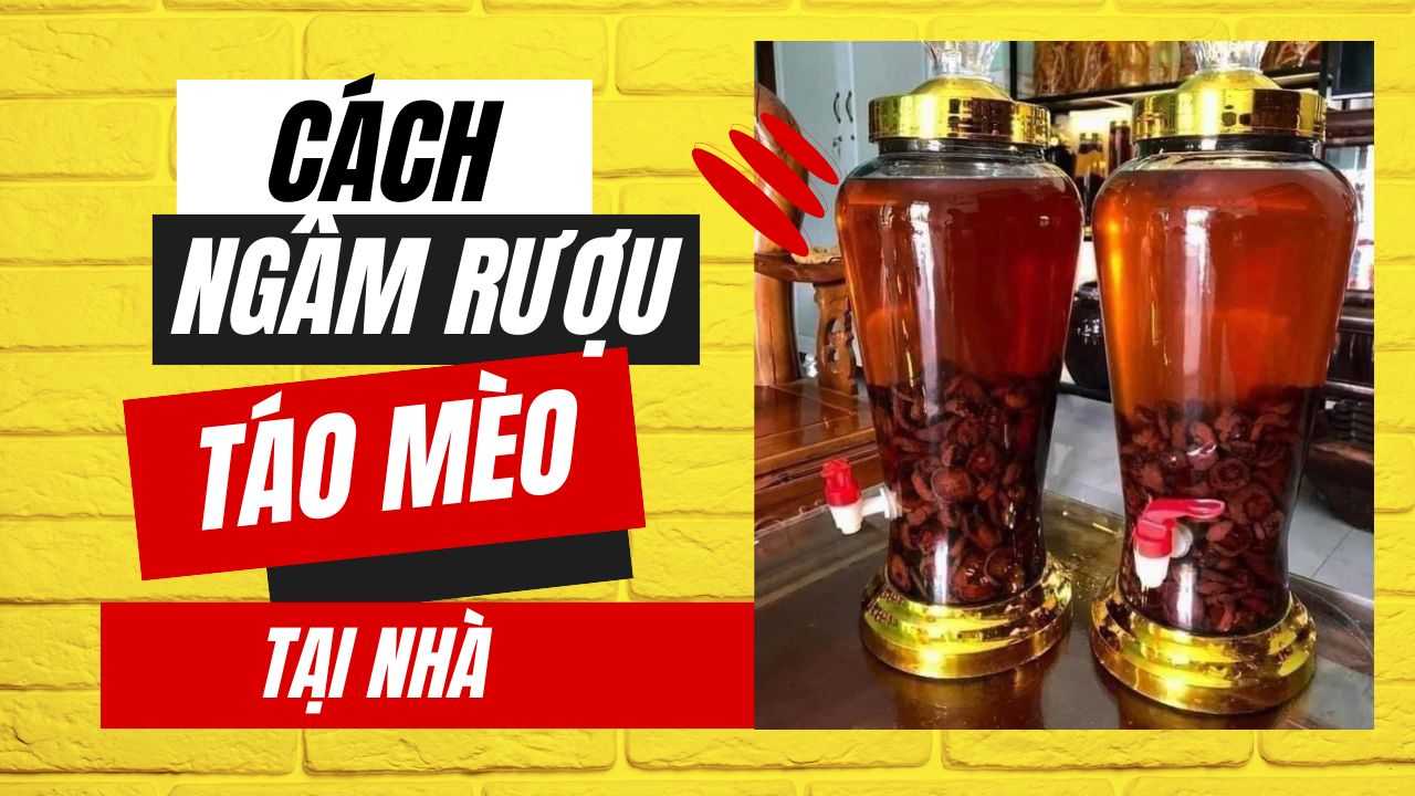 Cách ngâm rượu táo mèo với mật ong thơm ngon chuẩn vị truyền thống