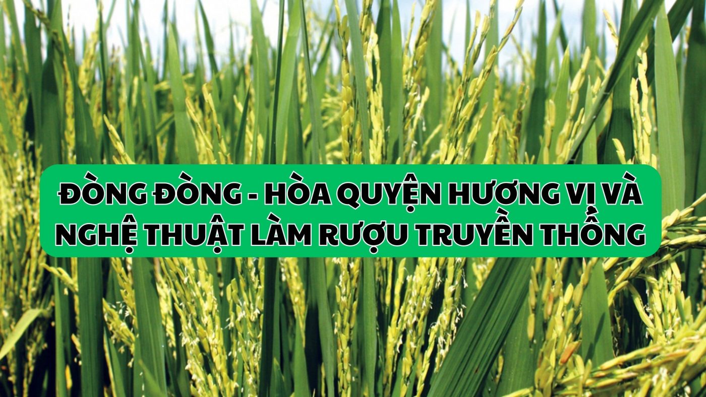 Đòng đòng - Hòa quyện hương vị và nghệ thuật làm rượu truyền thống