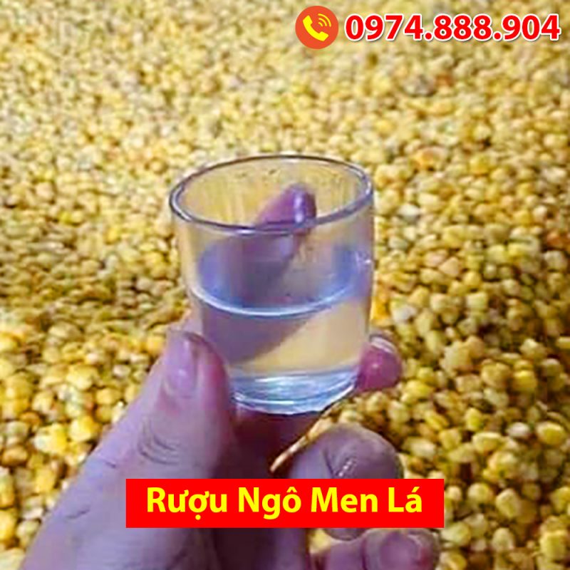 Địa chỉ mua rượu ngô men lá tại Hà Nội