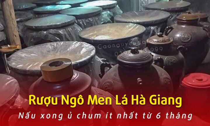 Rượu Ngô Men lá Hà Giang